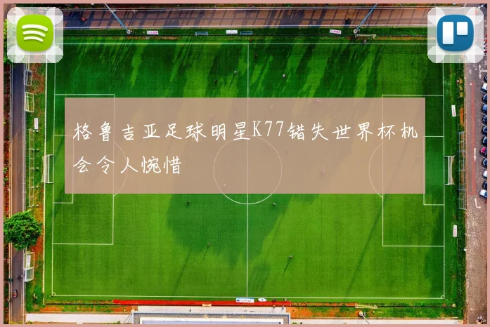 格鲁吉亚足球明星K77错失世界杯机会令人惋惜